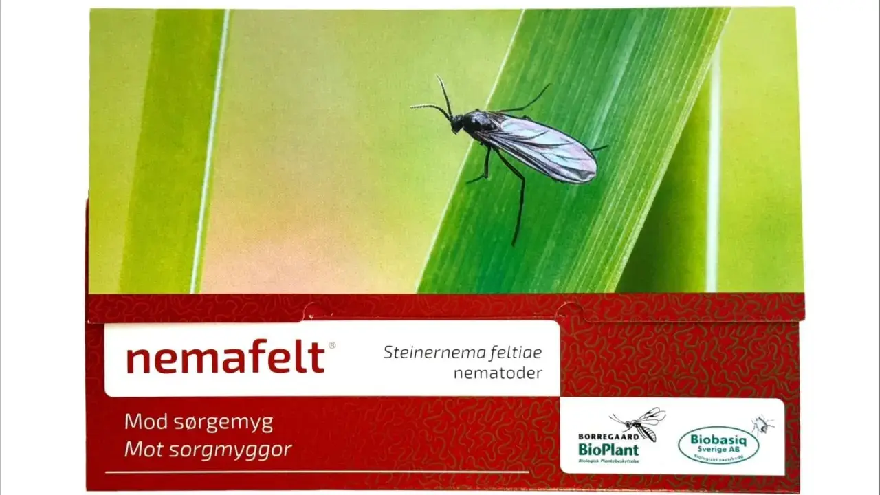 NemaFelt-förpackning med en sorgmygga på ett grässtrå. Produkten innehåller nematoder mot sorgmyggor.