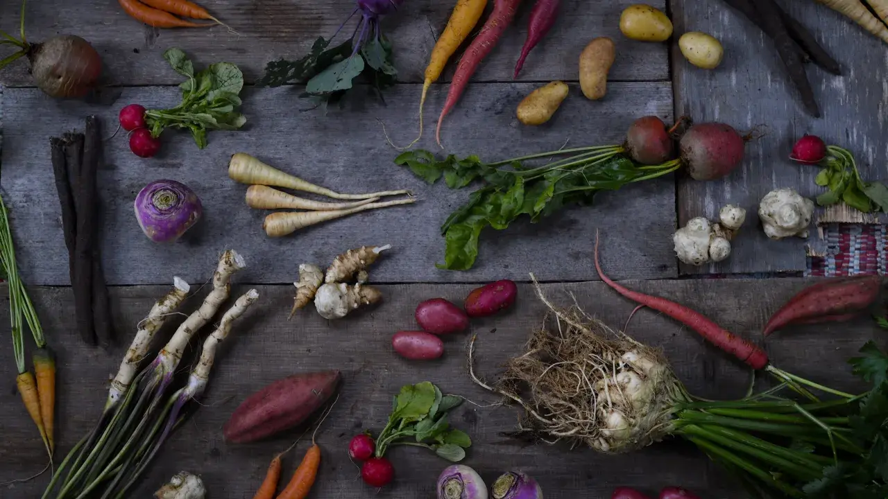 En härlig samling rotfrukter: morötter, palsternackor, rödbetor, potatis, kålrot och mer. En komplett rotfrukter lista för en hälsosam måltid.
