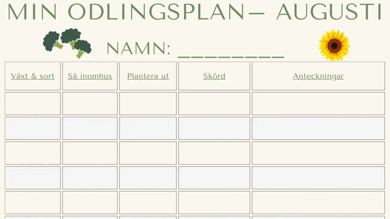 Min odlingsplan för augusti. Här kan du planera vad man kan så, plantera ut, skörda och göra anteckningar.