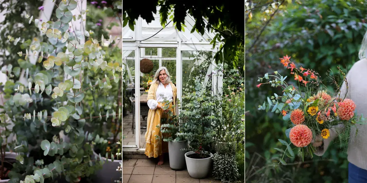 En kvinna i en gul kappa står i ett växthus med eukalyptus. Hon håller en kruka, redo att plantera om blommor. En bukett med orange blommor syns också.