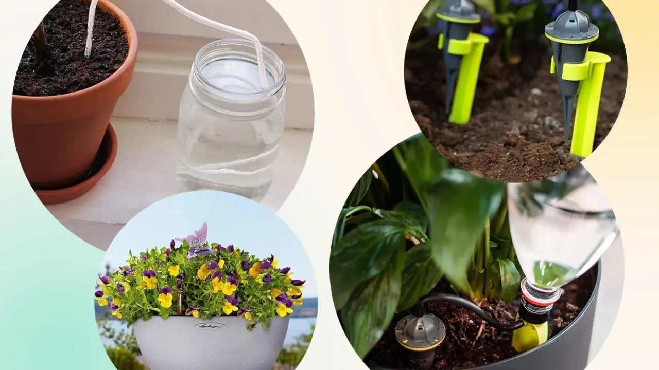 Självvattnande system för blommor, perfekt för att vattna blommor under semestern.