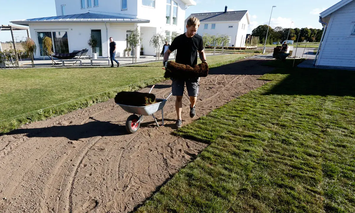 Man lägger ut färdig gräsmatta, rullar av grästorv för att skapa en ny moss lawn.