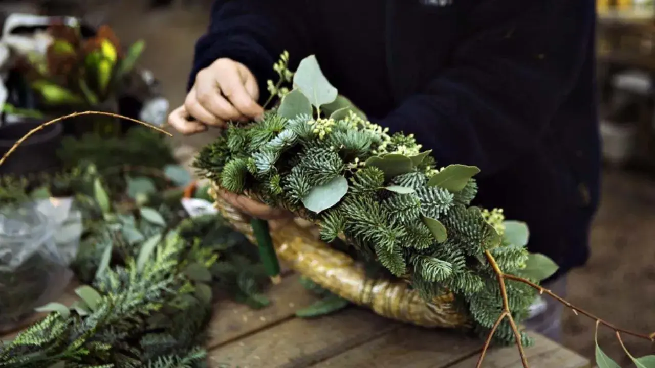 Händer som pysslar med att binda julkrans av granris och gröna blad.
