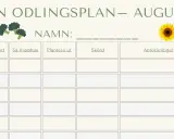 Min odlingsplan för augusti. Här kan du planera vad man kan så, plantera ut, skörda och göra anteckningar.