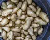 En stor mängd färskpotatis, vissa med lite skorv på, ligger i en mörk balja.