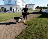Man lägger ut färdig gräsmatta, rullar av grästorv för att skapa en ny moss lawn.