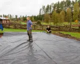 Två män lägger ut markduk för odling. En röd stuga och en trästaket syns i bakgrunden.