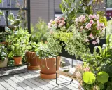 En lummig balkong med många krukor och hängande blommor. Rosa begoniablommor och gröna bladverk skapar en vacker oas.