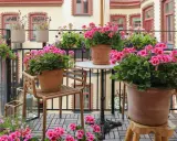 En balkong fylld med blommor, där årets pelargon lyser i rosa nyanser. En stol och ett litet bord skapar en mysig plats bland krukorna.
