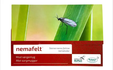 NemaFelt-förpackning med en sorgmygga på ett grässtrå. Produkten innehåller nematoder mot sorgmyggor.