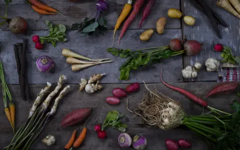En härlig samling rotfrukter: morötter, palsternackor, rödbetor, potatis, kålrot och mer. En komplett rotfrukter lista för en hälsosam måltid.