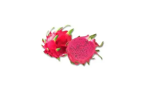 En hel och en halv drakfrukt med intensivt rosa fruktkött och svarta frön. En exotisk frukt från en drakfruktplanta.