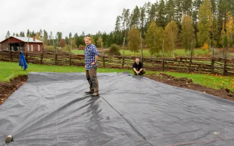 Två män lägger ut markduk för odling. En röd stuga och en trästaket syns i bakgrunden.