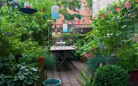 En lummig innergård med ett träbord och stolar, omgivet av grönska. En **klematis i kruka** klättrar längs staketet, och färgglada lyktor hänger från träden.