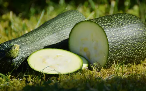 En hel och en halv zucchini i kruka, med skivor på gräset.