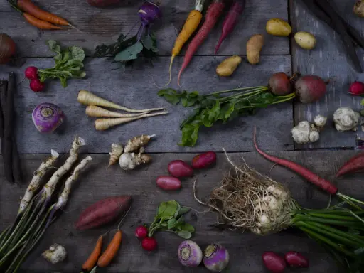 En härlig samling rotfrukter: morötter, palsternackor, rödbetor, potatis, kålrot och mer. En komplett rotfrukter lista för en hälsosam måltid.