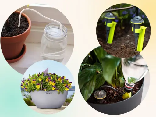 Självvattnande system för blommor, perfekt för att vattna blommor under semestern.