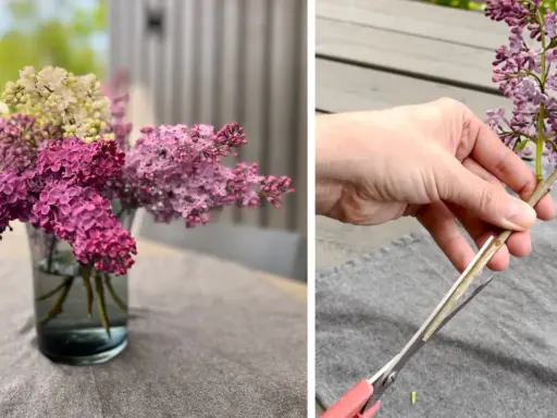 En bukett med fina blommor i en vas och en hand som klipper en syrenkvist.