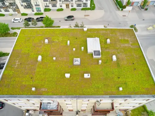 Grönt sedumtak konstruktion med ventilationshuvar och takljus. En modern byggnad med balkonger syns nedanför.