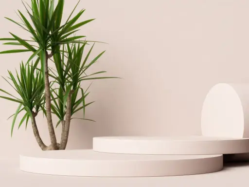 En grön palm i kruka utomhus, placerad bredvid två runda, ljusrosa podium.