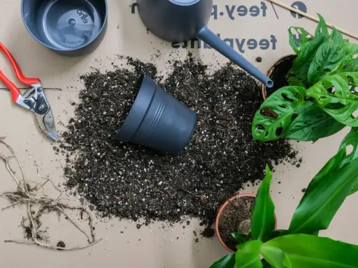 Reda sekatör, jord och krukor redo för omplantering av växter. En vattenkanna står redo att vattna.