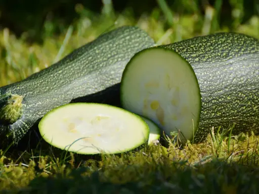 En hel och en halv zucchini i kruka, med skivor på gräset.
