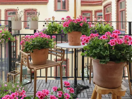 En balkong fylld med blommor, där årets pelargon lyser i rosa nyanser. En stol och ett litet bord skapar en mysig plats bland krukorna.