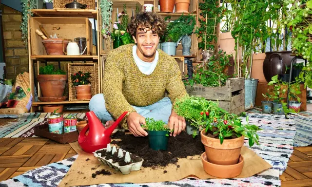 Glad man planterar örter och grönsaker för att odla sallad inomhus. Massor av växter och krukor runt omkring.