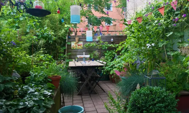 En lummig innergård med ett träbord och stolar, omgivet av grönska. En **klematis i kruka** klättrar längs staketet, och färgglada lyktor hänger från träden.