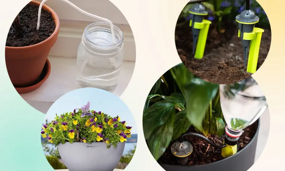 Självvattnande system för blommor, perfekt för att vattna blommor under semestern.