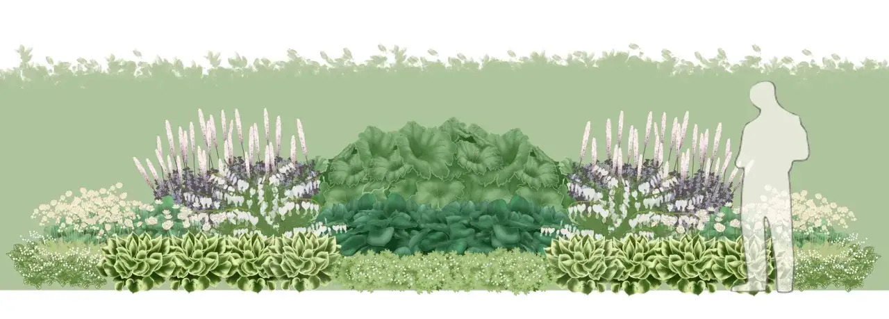 En illustration av en tr&auml;dg&aring;rdsdesign med olika funkia sorter, h&ouml;ga blommor och en silhuett av en person.