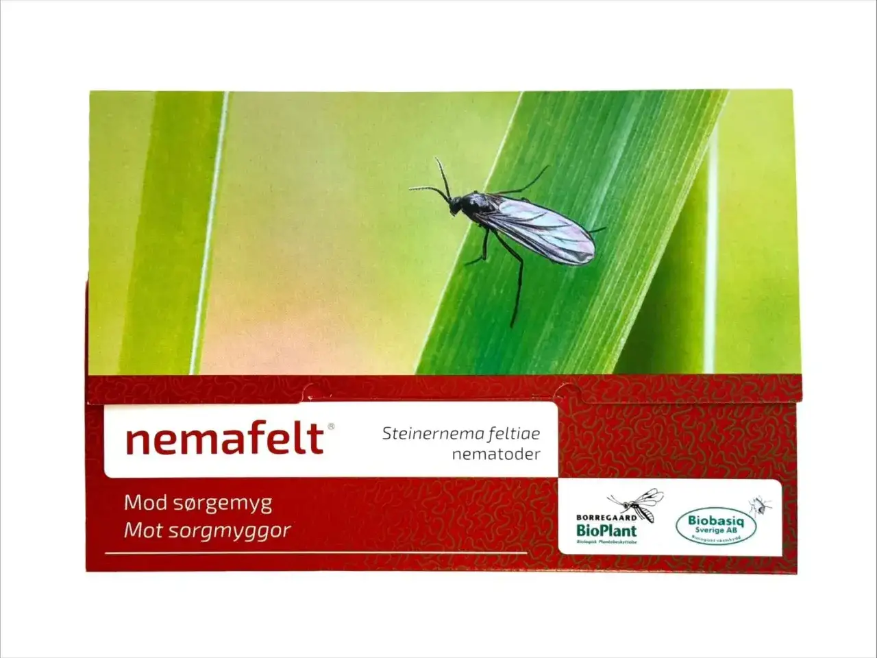 Nemafelt-f&ouml;rpackning med en sorgmygga p&aring; ett gr&auml;sstr&aring;. Produkten inneh&aring;ller nematoder mot sorgmyggor.