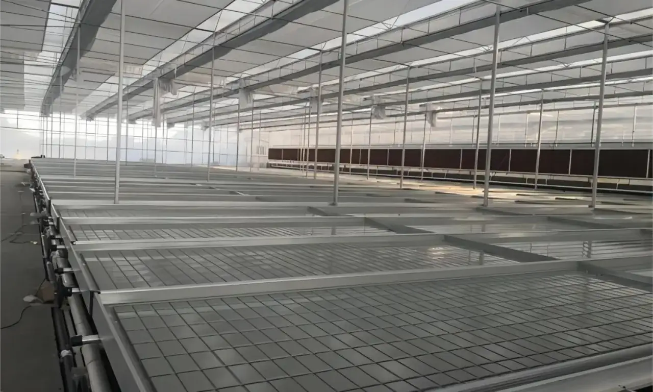 Tomma odlingsb&auml;nkar i ett v&auml;xthus, redo f&ouml;r ett ebb och flod system. Ljuset fl&ouml;dar genom taket.