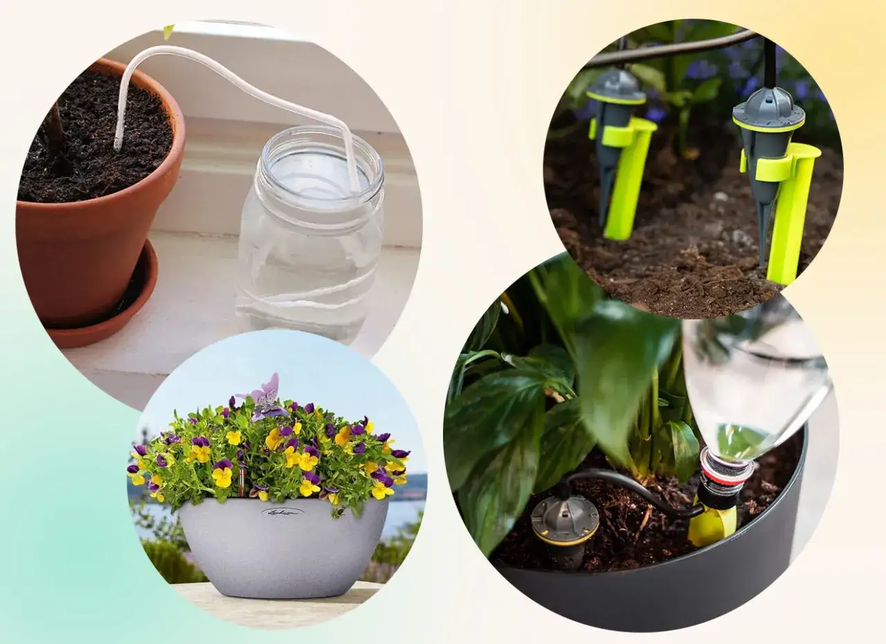 Smarta l&ouml;sningar f&ouml;r att vattna blommor n&auml;r du &auml;r p&aring; semester. Sj&auml;lvvattning med sn&ouml;re, droppbevattning och flaskor som ger dina v&auml;xter fukt.