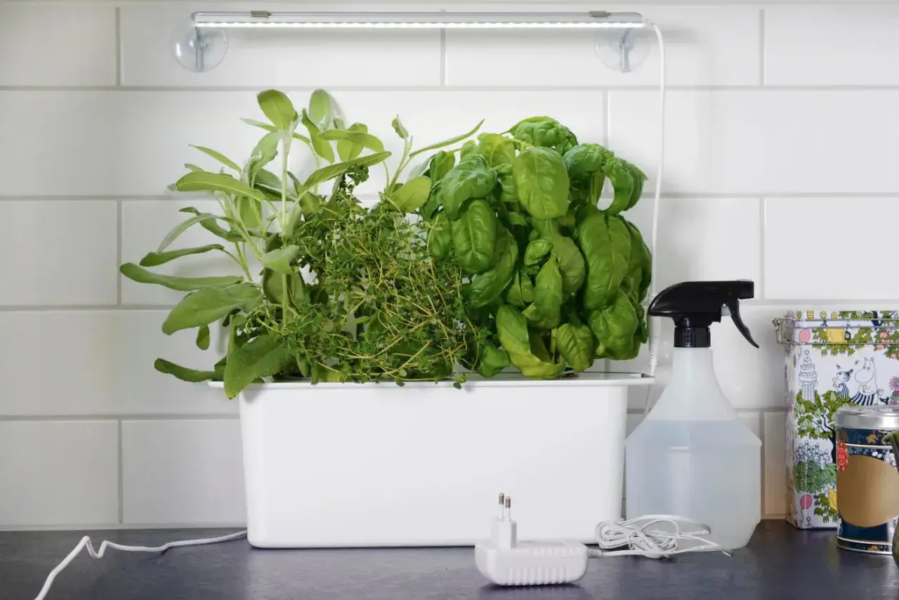 En vit behållare med basilika, salvia och timjan för hydroponisk odling. En LED-lampa lyser över örterna. Bredvid står en sprayflaska och en laddare.