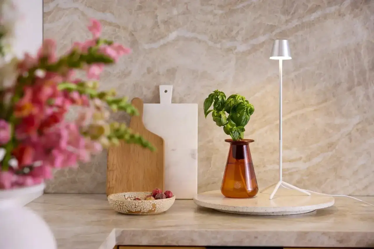 En liten lampa lyser upp basilika i en vas, perfekt för att odla sallad inomhus. Bredvid står skärbrädor och en skål med bär.