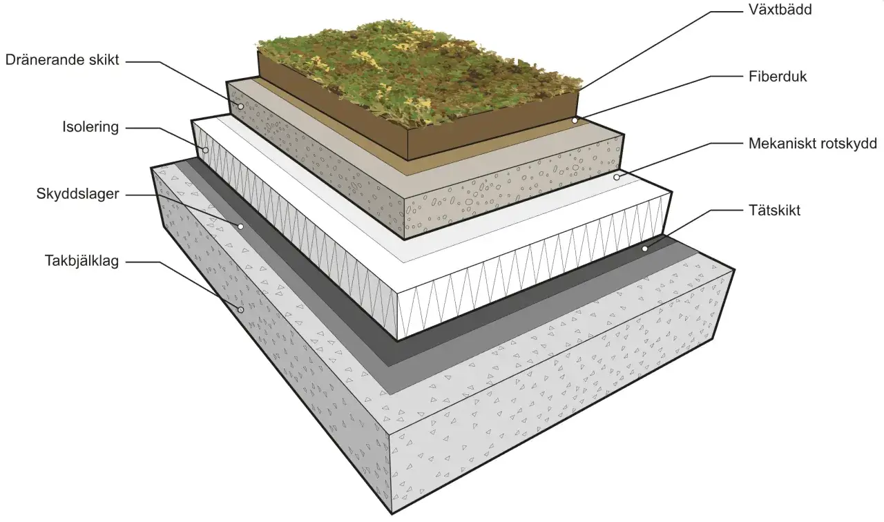 Detaljerad illustration av en sedumtak konstruktion med lager som v&auml;xtb&auml;dd, fiberduk, isolering och t&auml;tskikt.