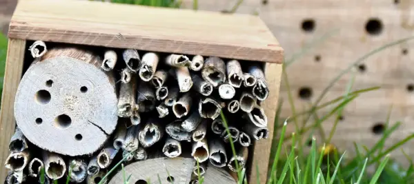 Ett insektshotell av trä fyllt med bamburör och träbitar med hål. Perfekt för att bygga insektshotell och hjälpa pollinerare.